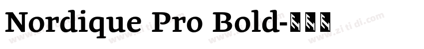 Nordique Pro Bold字体转换
